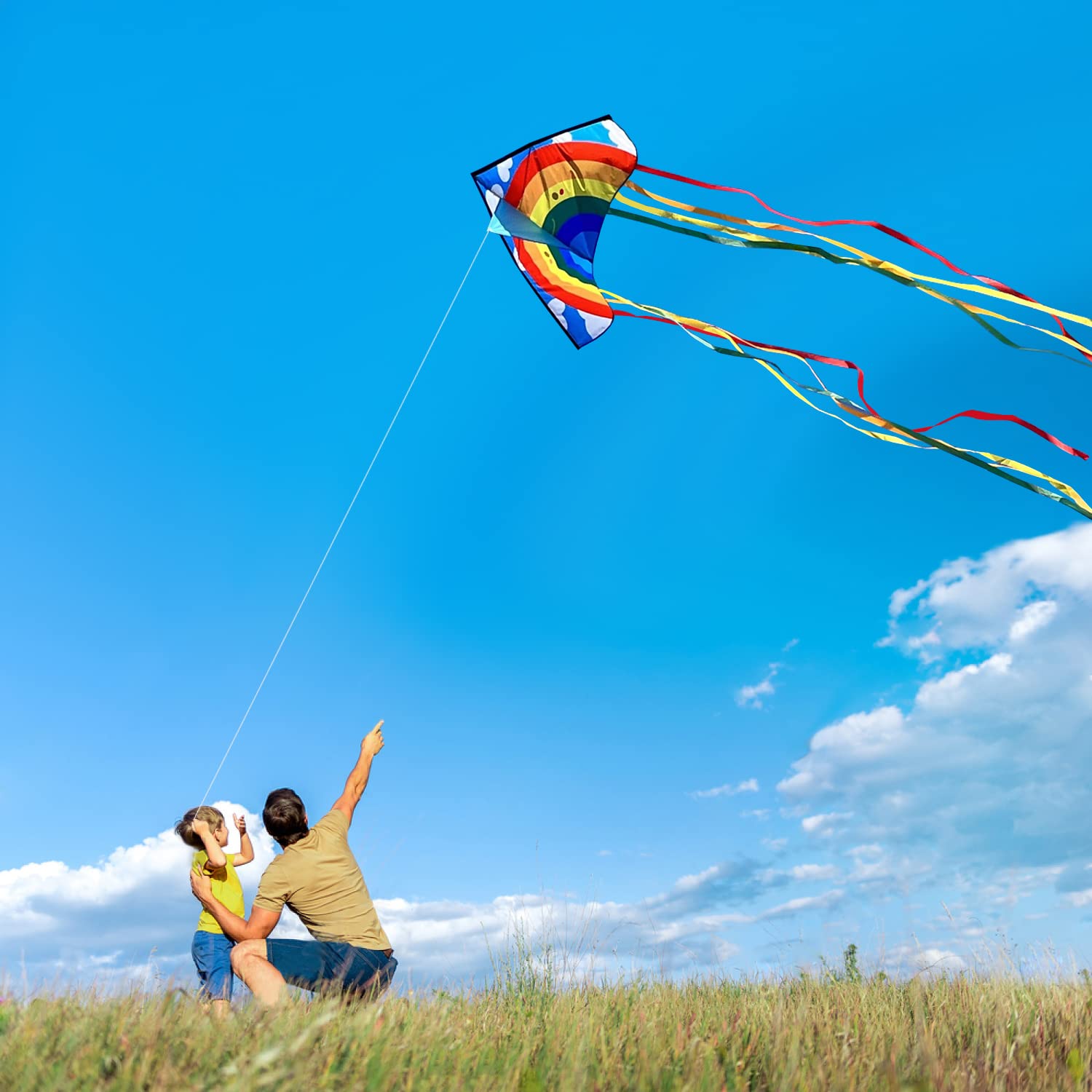 Honbo Large Rainbow Delta Kite – Easy to Fly with 8 Colorful Tails, 61'' x 29'', for Beginners Kids & Adults