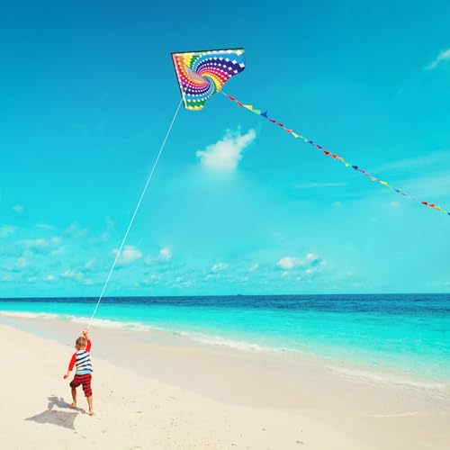 Honbo Lollipop Delta Kite - Large 53.5x30.3 Inch Easy to Fly Kite for Kids and Adults, Includes 200ft Line and Storage Bag