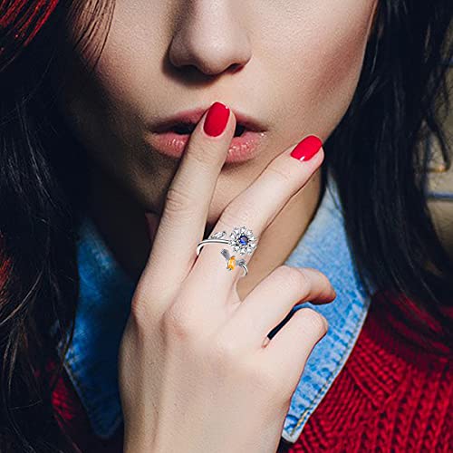 Honsny 6-Piece 14K Gold Plated Anxiety Rings Set for Women - Adjustable Spinner Fidget Rings