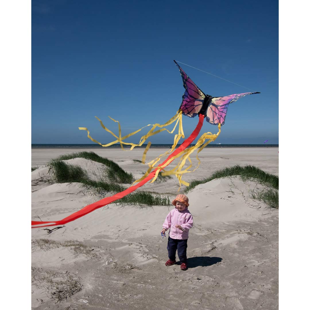 HQ Butterfly Kite – 20 Inch Single Line Kite with Tail for Kids & Adults