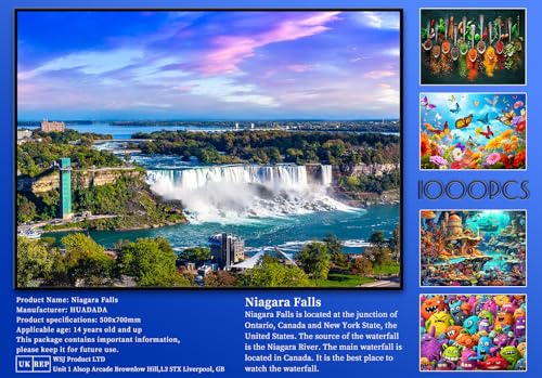 HUADADA 1000 Piece Jigsaw Puzzle - Niagara Falls - for Adults