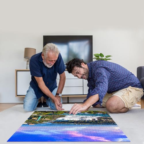 HUADADA 1000 Piece Jigsaw Puzzle - Niagara Falls - for Adults