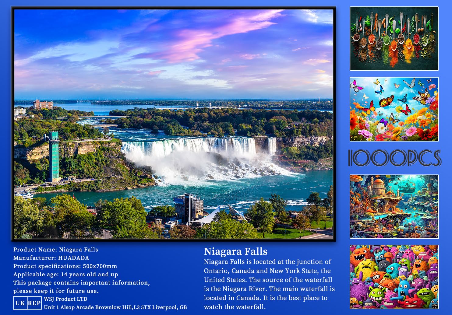 HUADADA 1000 Piece Jigsaw Puzzle - Niagara Falls - for Adults