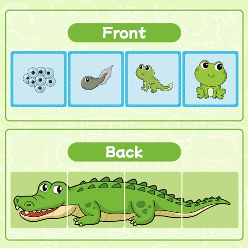 HugHush Sequencing Cards - 48 Color-Coded Story Cards for Speech Therapy, Social Skills & Preschool Learning