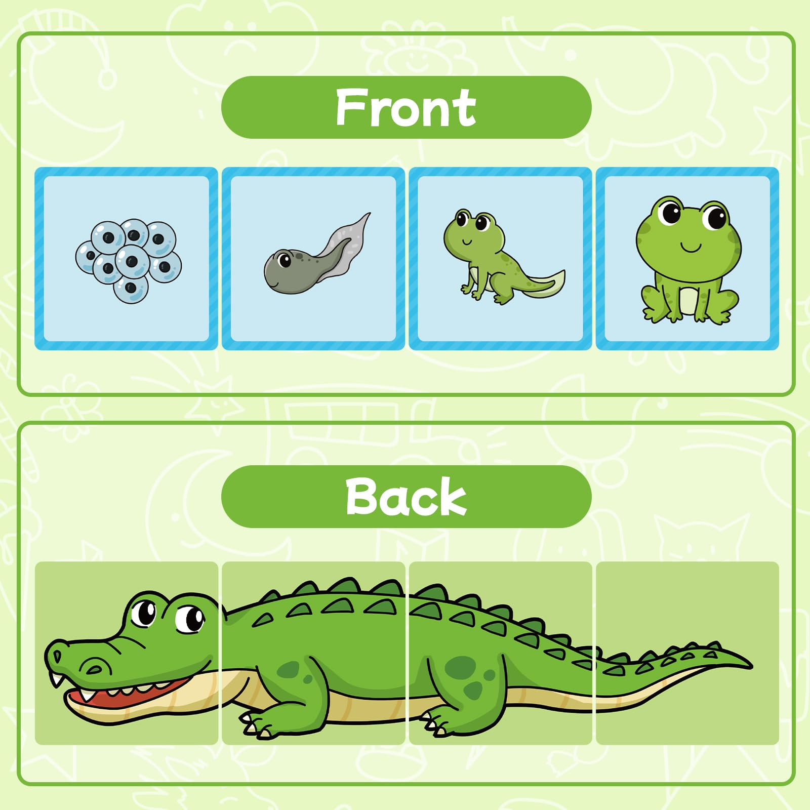 HugHush Sequencing Cards - 48 Color-Coded Story Cards for Speech Therapy, Social Skills & Preschool Learning