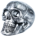 H&W Skull Money Bank – Realistic Silvery Skeleton Coin Bank for Halloween & Gothic Decor