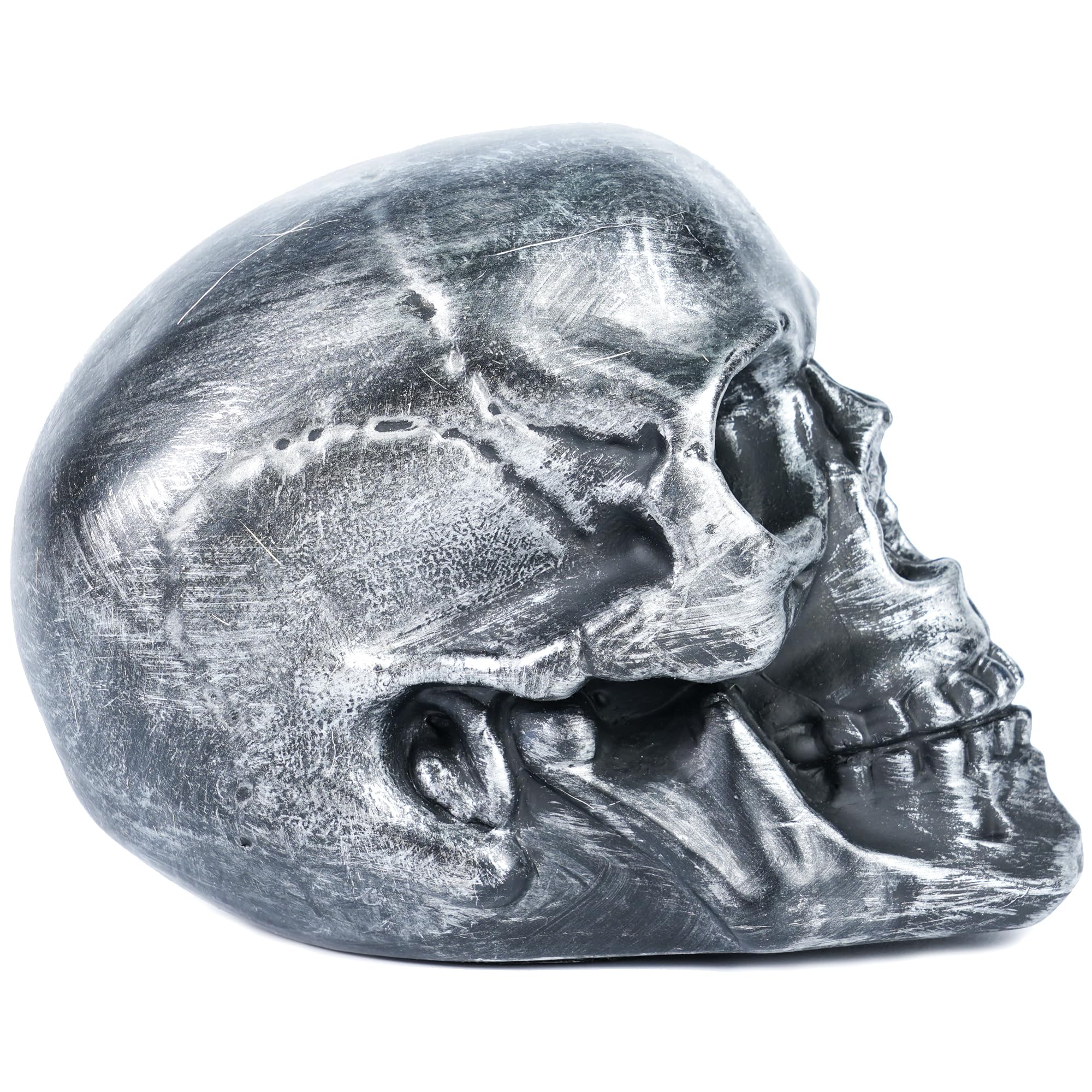 H&W Skull Money Bank – Realistic Silvery Skeleton Coin Bank for Halloween & Gothic Decor