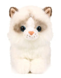 Ice King Bear 8-Inch Realistic Ragdoll Kitten Plush Toy – Lying Pose Soft Stuffed Cat for Kids and Cat Lovers