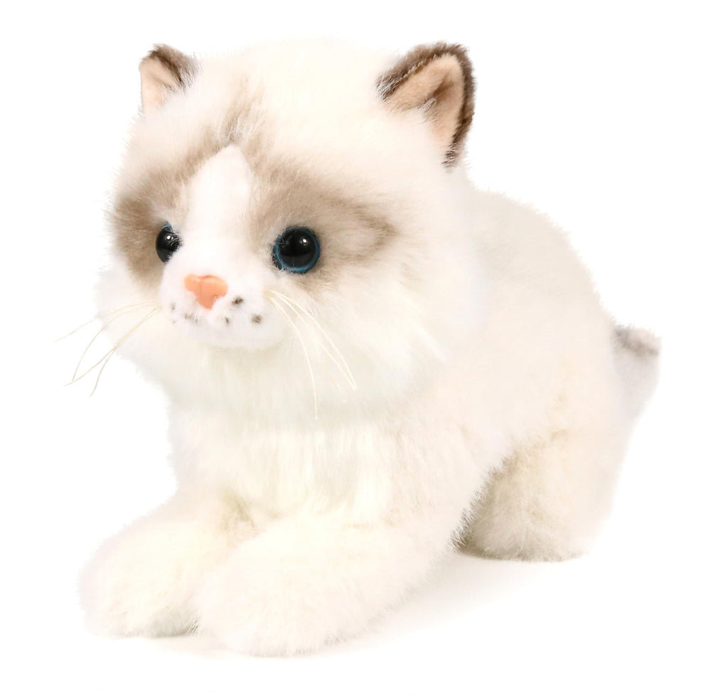 Ice King Bear 8-Inch Realistic Ragdoll Kitten Plush Toy – Lying Pose Soft Stuffed Cat for Kids and Cat Lovers