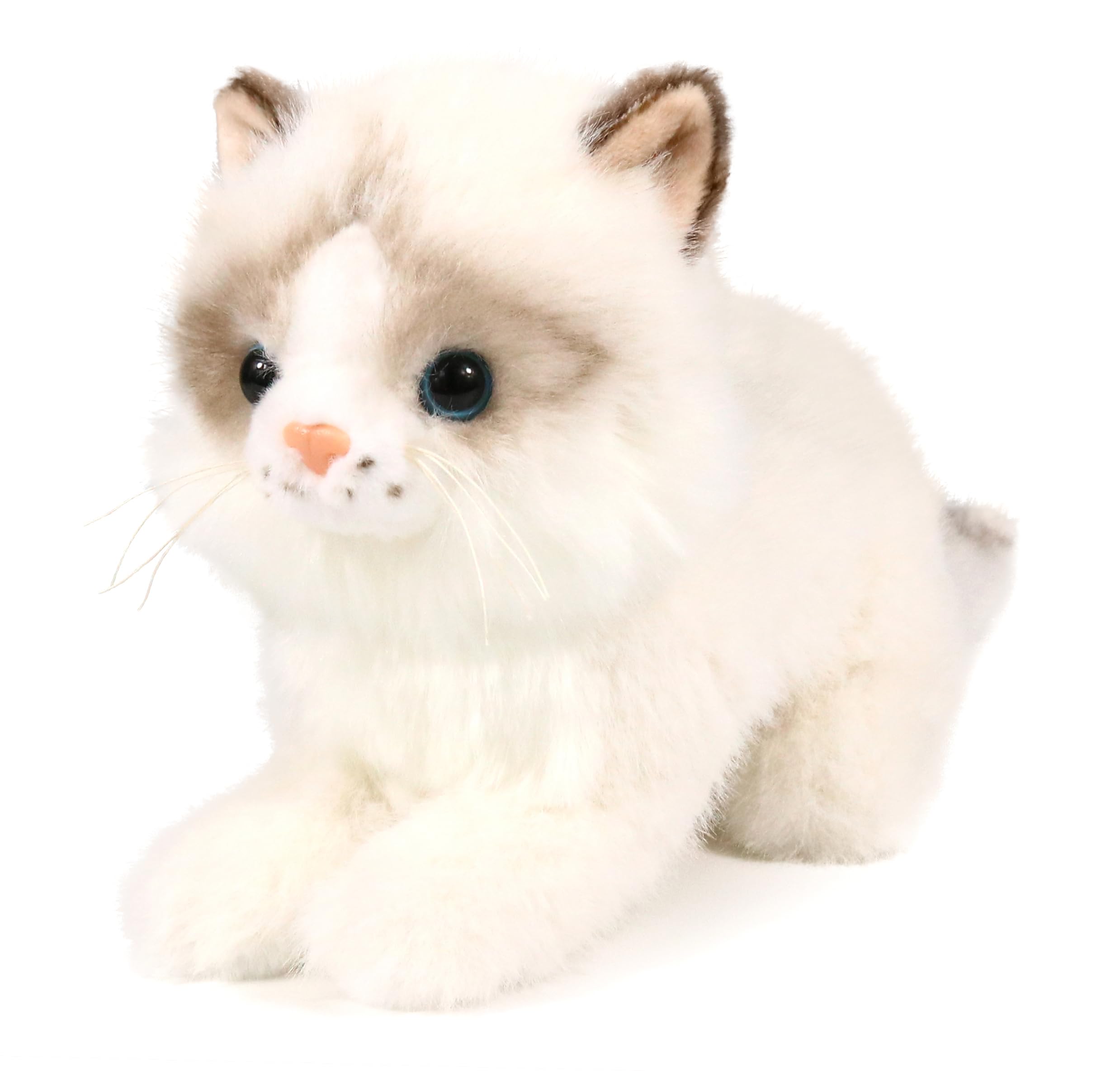 Ice King Bear 8-Inch Realistic Ragdoll Kitten Plush Toy – Lying Pose Soft Stuffed Cat for Kids and Cat Lovers