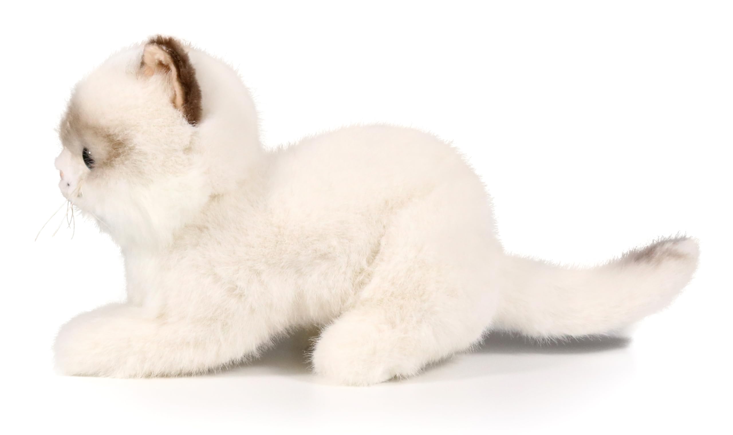 Ice King Bear 8-Inch Realistic Ragdoll Kitten Plush Toy – Lying Pose Soft Stuffed Cat for Kids and Cat Lovers