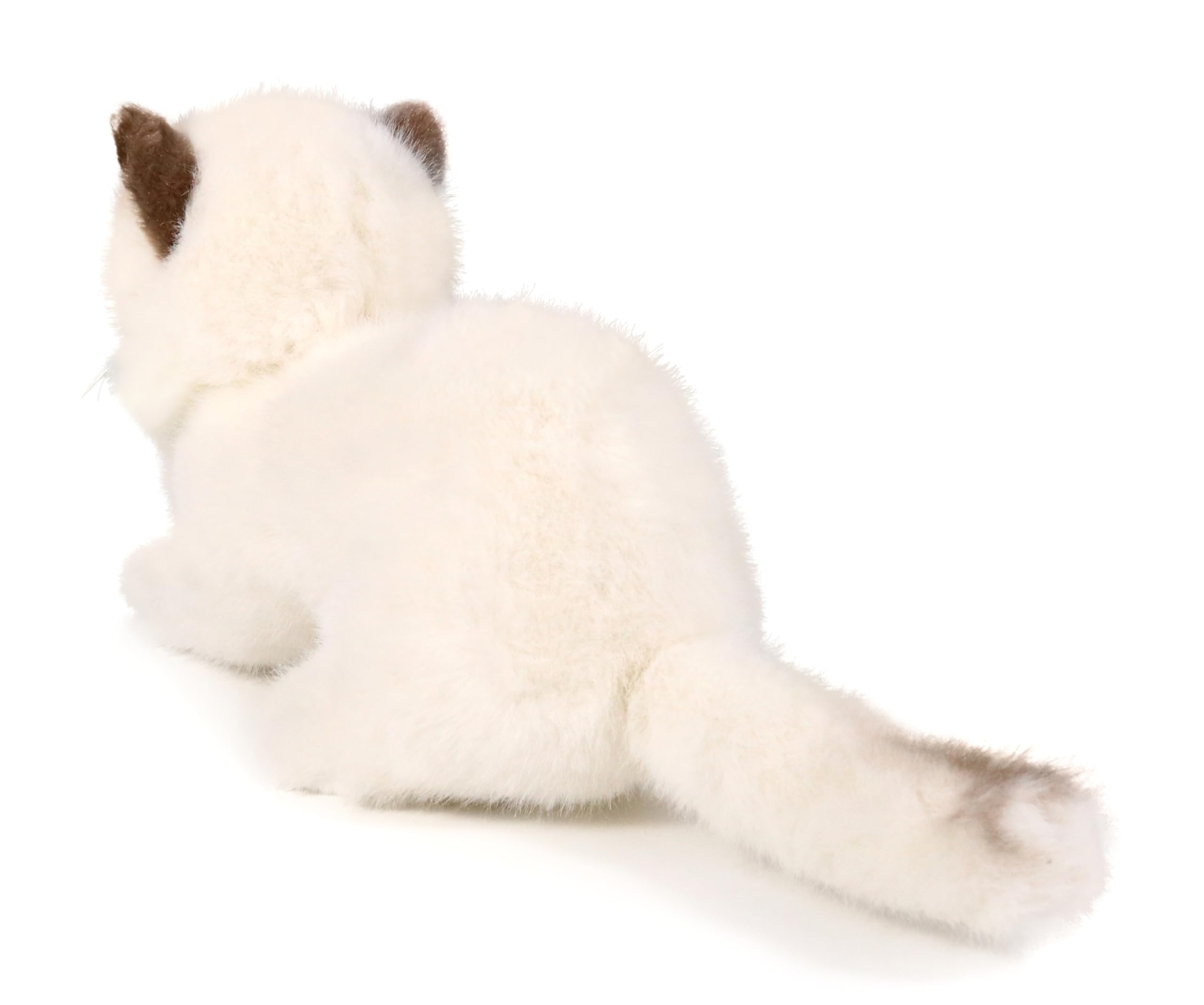 Ice King Bear 8-Inch Realistic Ragdoll Kitten Plush Toy – Lying Pose Soft Stuffed Cat for Kids and Cat Lovers