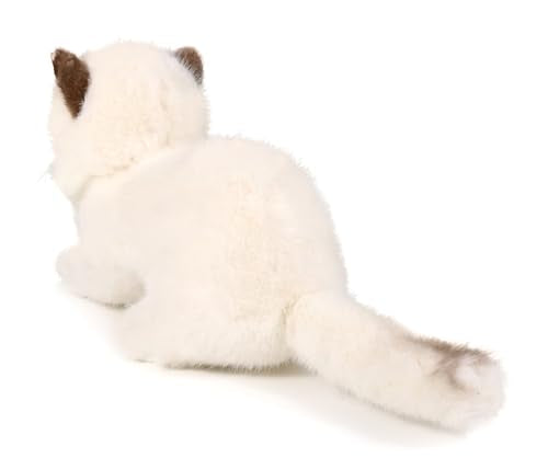 Ice King Bear 8-Inch Realistic Ragdoll Kitten Plush Toy – Lying Pose Soft Stuffed Cat for Kids and Cat Lovers