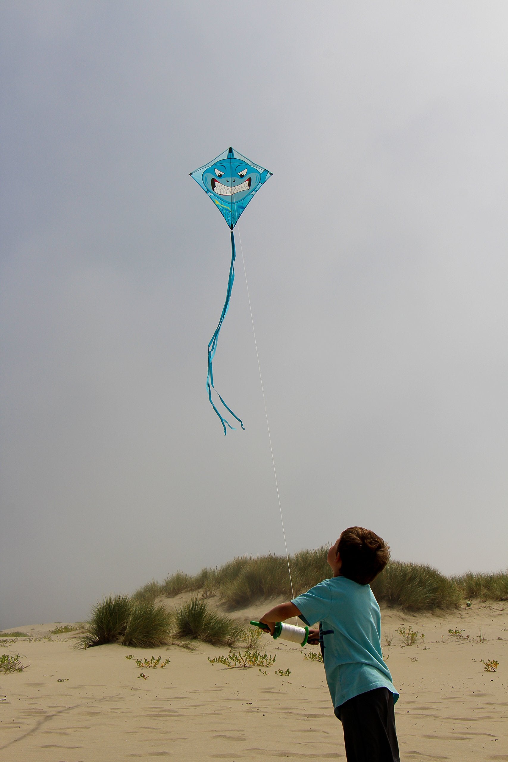 In the Breeze 30-Inch Shark Diamond Kite – Colorful, Easy-Flying Outdoor Kite for Kids & Beginners