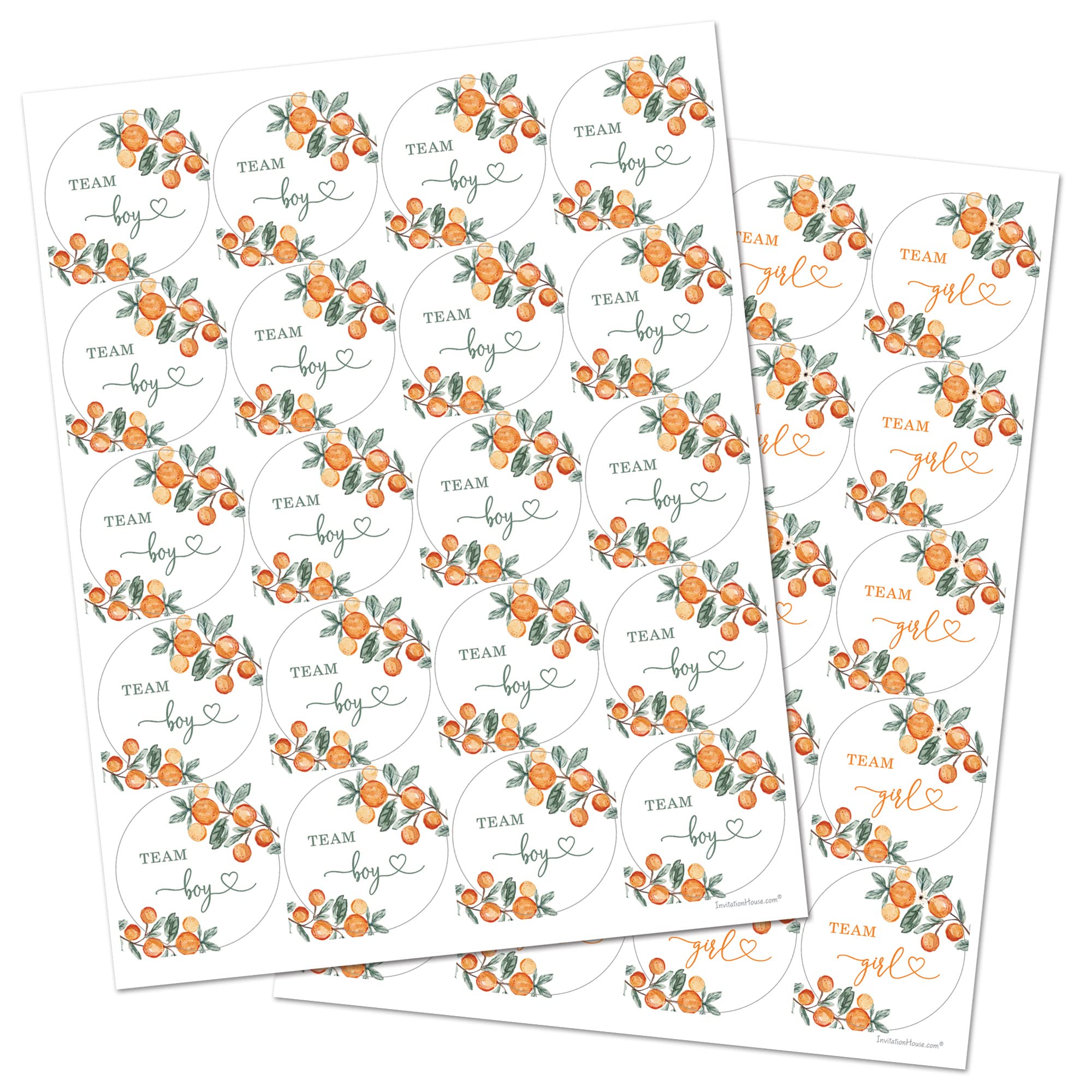 InvitationHouse Little Cutie Green Gender Reveal Stickers - 40 Labels (20 of Each Design)