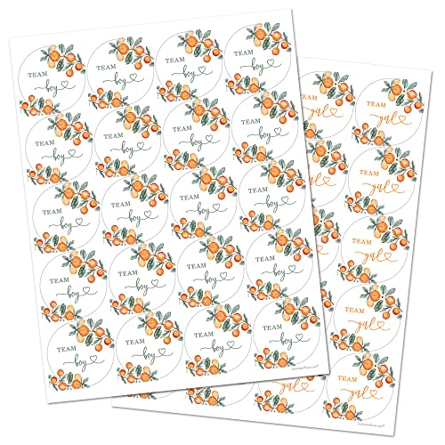 InvitationHouse Little Cutie Green Gender Reveal Stickers - 40 Labels (20 of Each Design)