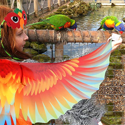 IROLEHOME Bird Costume Set for Kids – Eagle Wings with Headband, Lightweight Chiffon Dress-Up Cape for Ages 3-10