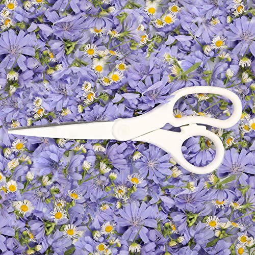 JAM PAPER 8-Inch Precision Scissors, White, Ergonomic Comfort Grip, Stainless Steel Blades – Single Pair