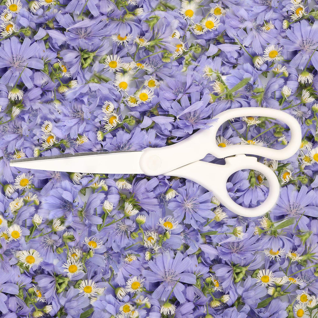 JAM PAPER 8-Inch Precision Scissors, White, Ergonomic Comfort Grip, Stainless Steel Blades – Single Pair