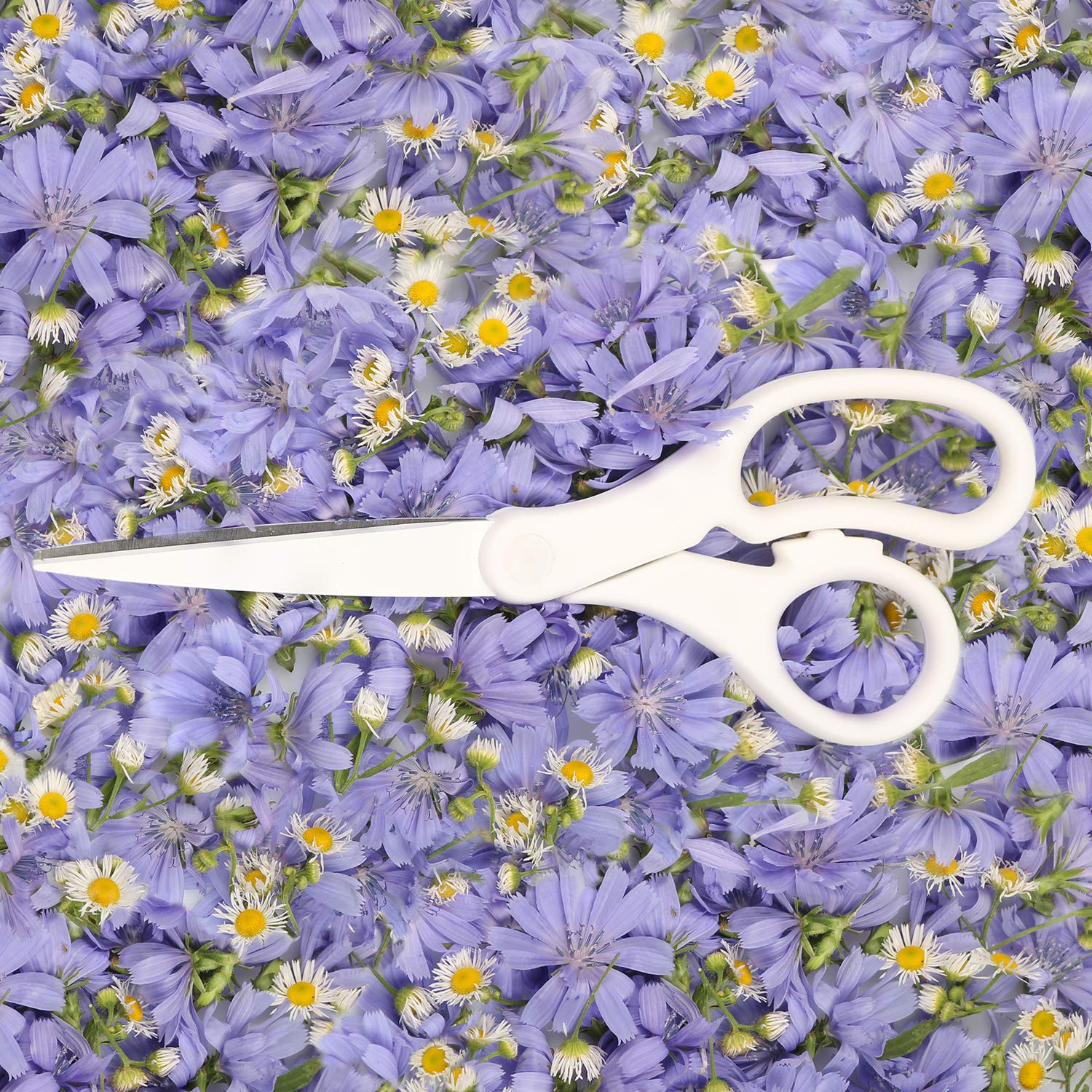 JAM PAPER 8-Inch Precision Scissors, White, Ergonomic Comfort Grip, Stainless Steel Blades – Single Pair