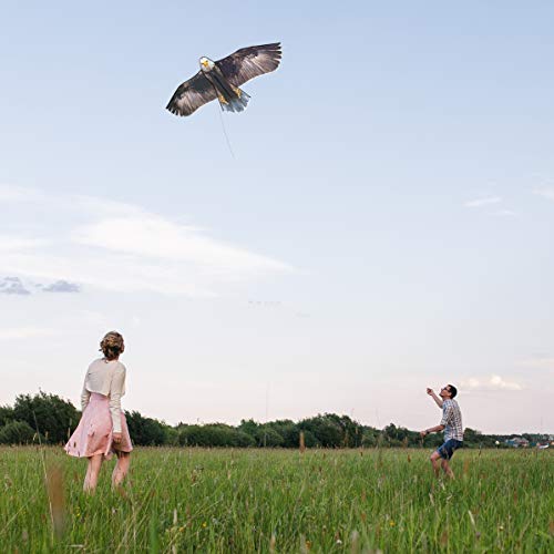 JEKOSEN Bald Eagle Huge Kite for Kids and Adults – 70 Inch Single Line Easy to Fly with 328ft String