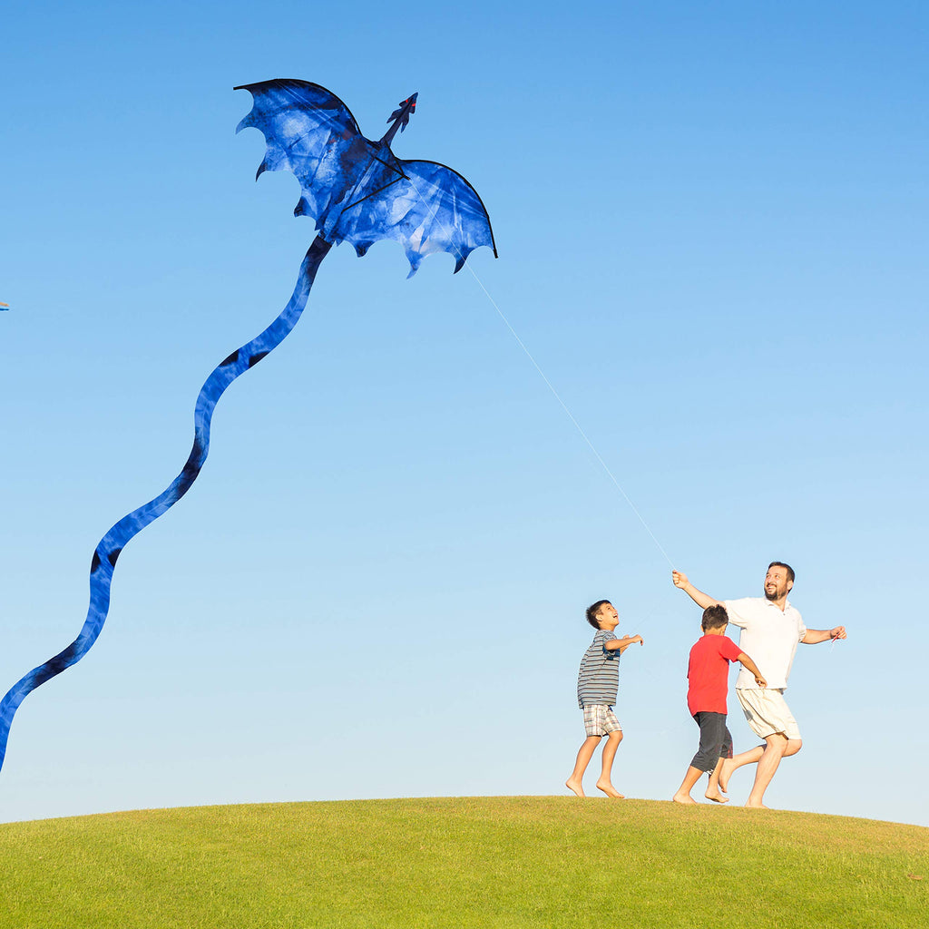 JEKOSEN Ice Dragon Kite - 54" Huge Single Line with 161" Tail, Easy to Fly for Kids and Adults