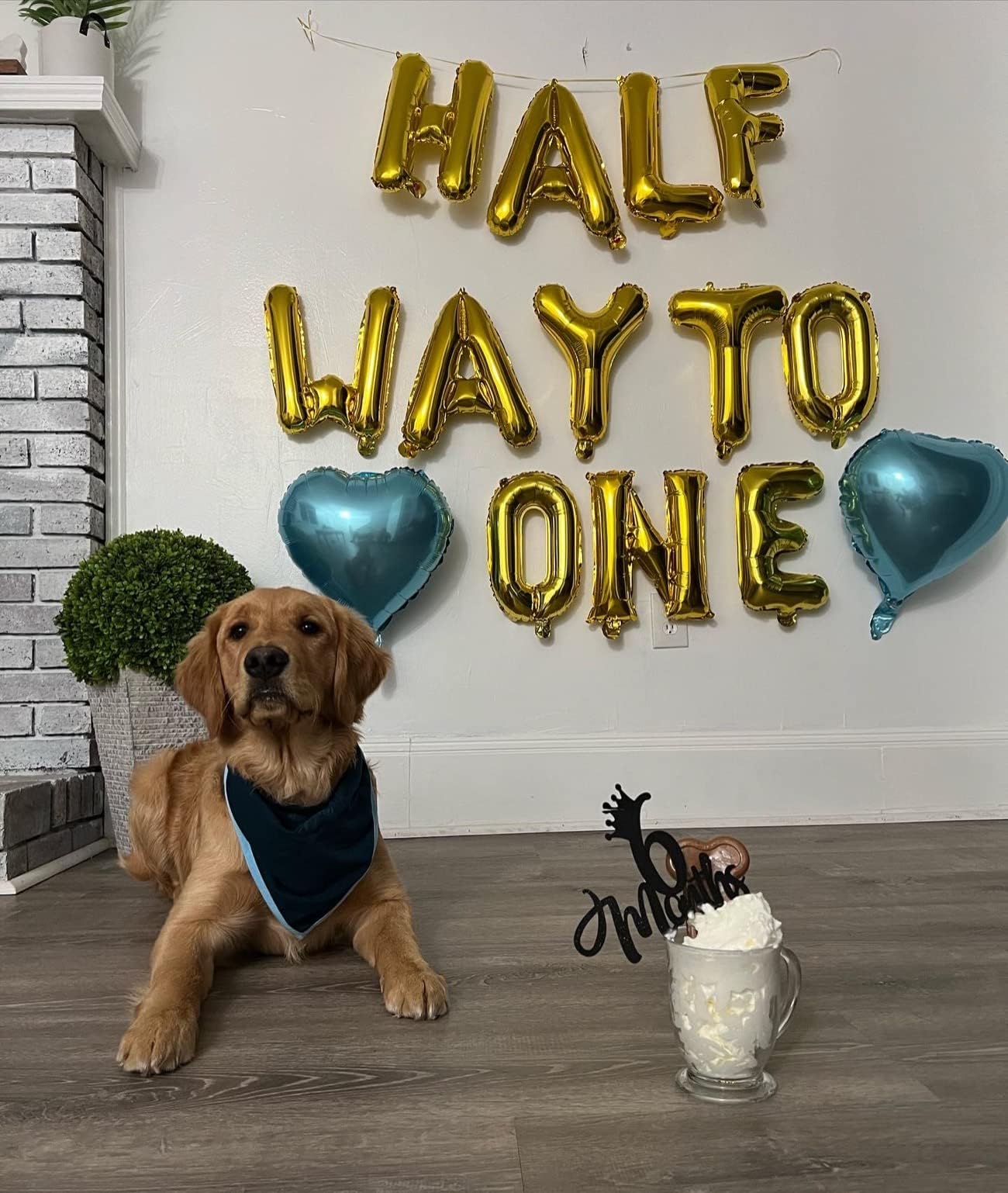 JeVenis 15-Piece Half Way To One Balloon Set - Gold Letter Balloons for Half Birthday Boy Party with Blue Latex Balloons