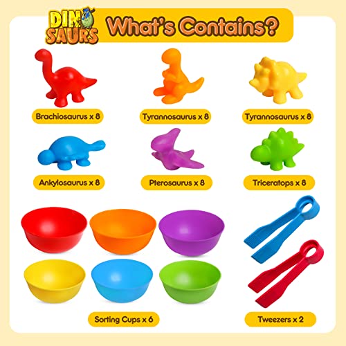 JOCHA Dinosaur Counting and Sorting Toy – 48 Dino Figures, 6 Bowls, Tweezers – Montessori STEM Learning for Toddlers 3-6