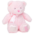 Jolitee My First Bear - 10 Inch Pink Teddy Bear for Newborns, Soft Plush with Embroidered Eyes