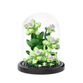 Jollcnoia Bonsai Tree Building Set – Creative Assembly Toy with Dust Cover