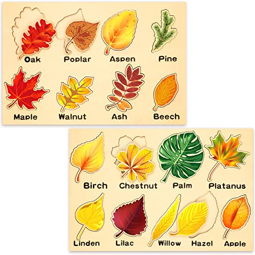 Kathfly 2-Piece Wooden Leaf Jigsaw Puzzle Set - 16 Colorful Leaves Montessori Educational Toy