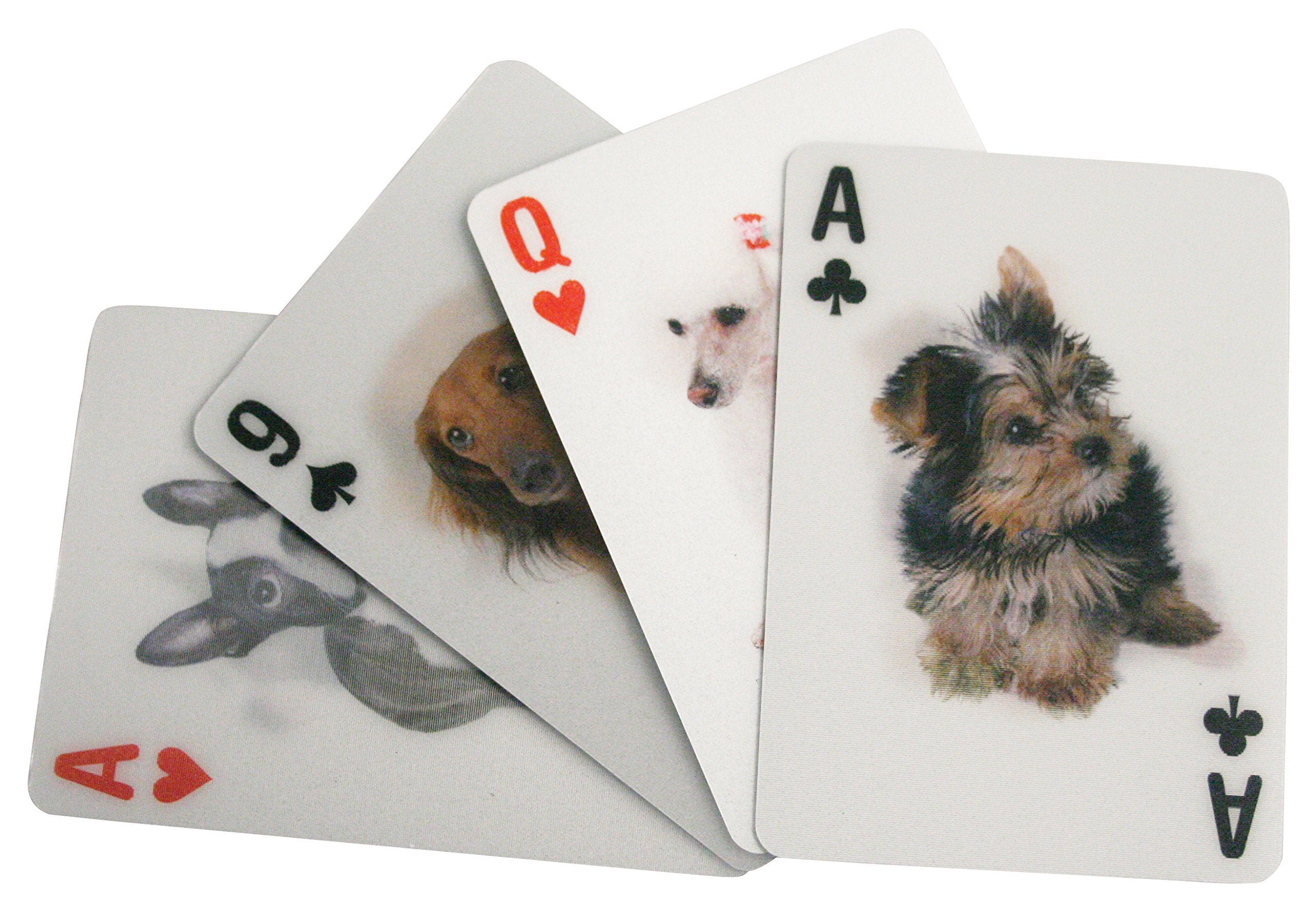 Kikkerland Lenticular Dog Playing Cards – 52 Breeds & 2 Cat Jokers