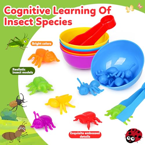 Kizh Counting Insects Matching Toy with Sorting Bowls and Dice – Montessori Preschool Learning Activity for Fine Motor Skills, Ages 3-5