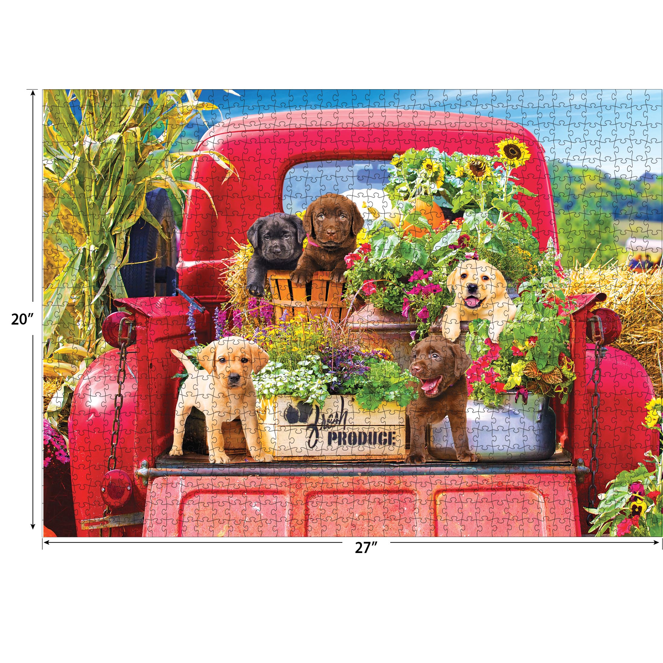 Kodak Premium Stowaways 1000-Piece Jigsaw Puzzle: Vintage Red Pickup with Lab Puppies