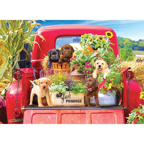 Kodak Premium Stowaways 1000-Piece Jigsaw Puzzle: Vintage Red Pickup with Lab Puppies