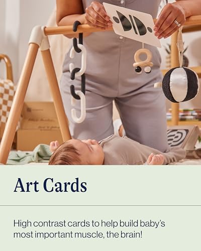 Lalo Art Cards - 6 High Contrast Black and White Baby Cards for Visual Development (Fruits & Veggies)