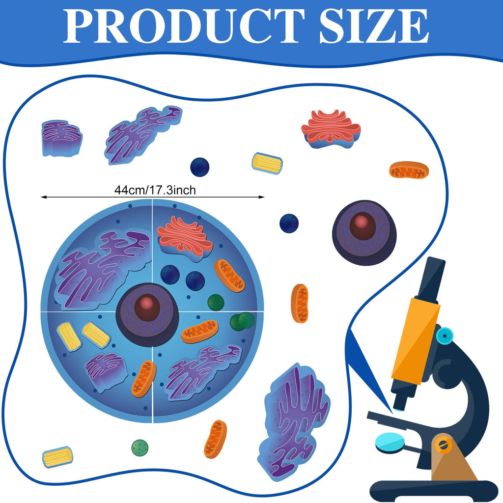 Leitee 18-Piece Magnetic Animal Cell Model Set for Interactive Biology Learning on Whiteboards