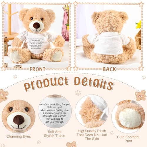 Lenwen Khaki Comfort Bear – Get Well Soon & Sympathy Plush Gift with Inspirational Shirt