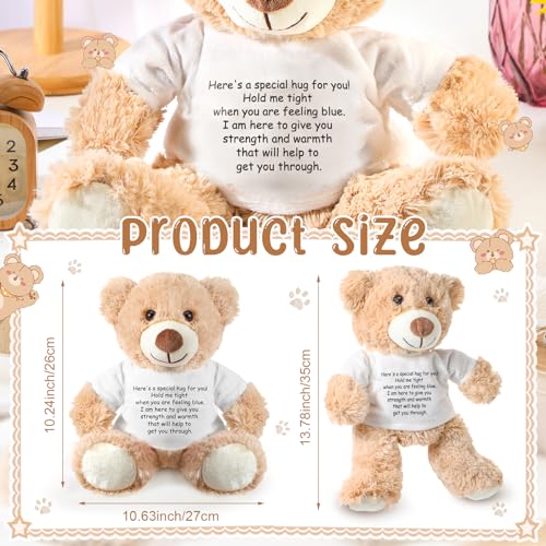 Lenwen Khaki Comfort Bear – Get Well Soon & Sympathy Plush Gift with Inspirational Shirt