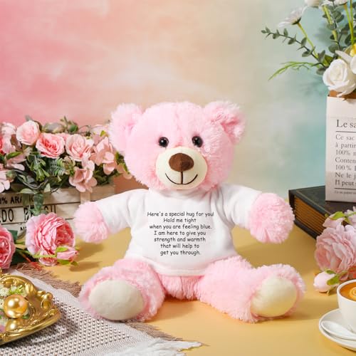 Lenwen Pink Get Well Soon Bear with Comforting Shirt Plush for Sympathy Gift 35 cm