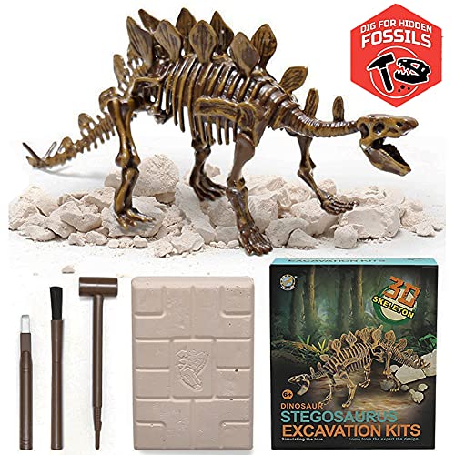 Liberty Imports Stegosaurus Dinosaur Skeleton Dig Kit – Excavate and Build 3D Fossil Bones, Science Educational Toy for Kids Ages 4+