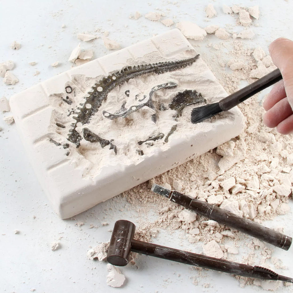 Liberty Imports Stegosaurus Dinosaur Skeleton Dig Kit – Excavate and Build 3D Fossil Bones, Science Educational Toy for Kids Ages 4+