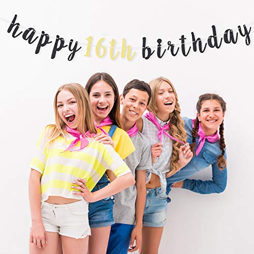 LINGTEER 16th Birthday Glitter Garland Banner - Cheers to Sixteen Years Old Backdrop Decoration