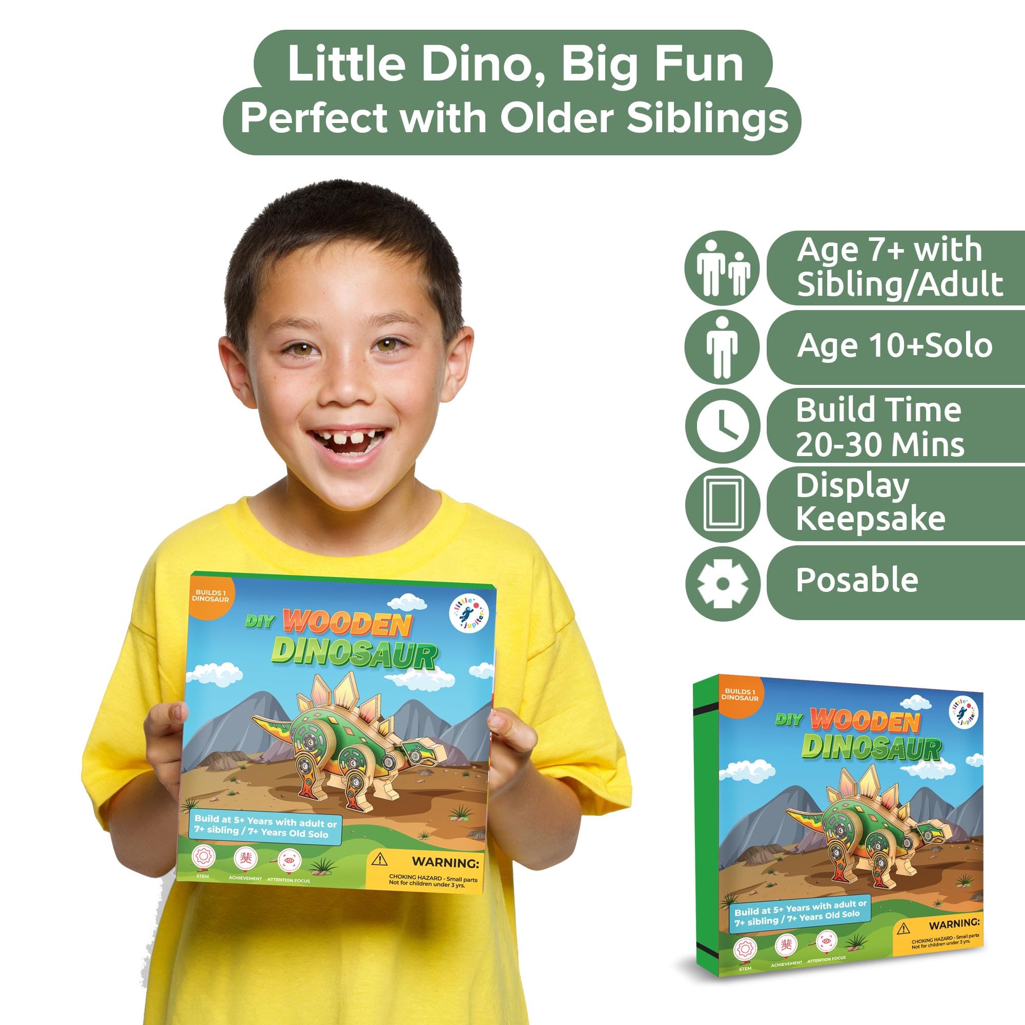 Little Jupiter Stegosaurus Wooden Building Kit for Kids 7-12 – DIY Dinosaur Craft with Stickers
