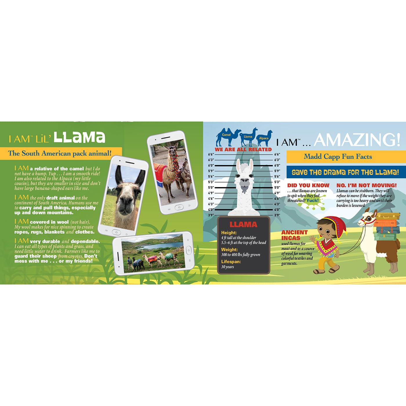 Madd Capp LiL' LLAMA 100-Piece Animal-Shaped Jigsaw Puzzle – Oversized Pieces, Poster Size 22x33 inches, Ages 5+
