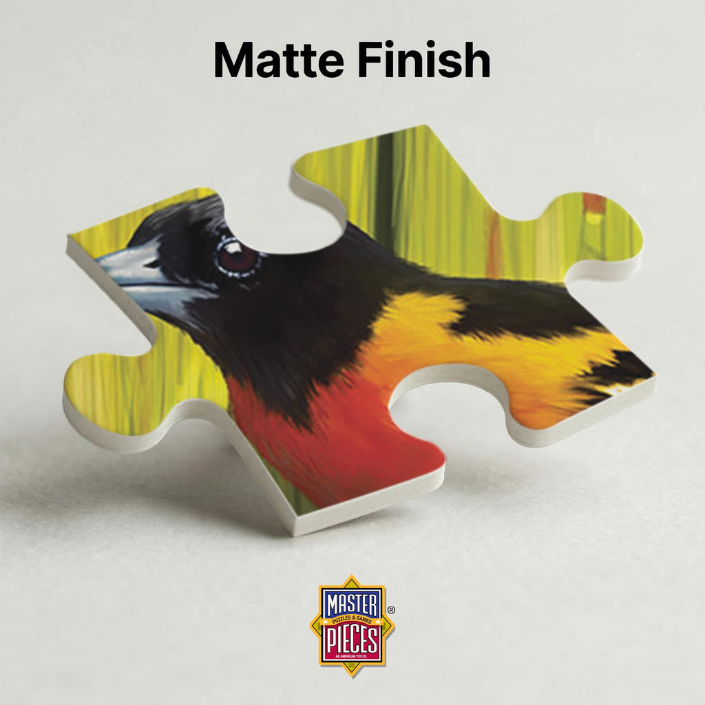 MasterPieces 300-Piece EZ Grip Jigsaw Puzzle – Feathered Reflections, 18x24 Inches