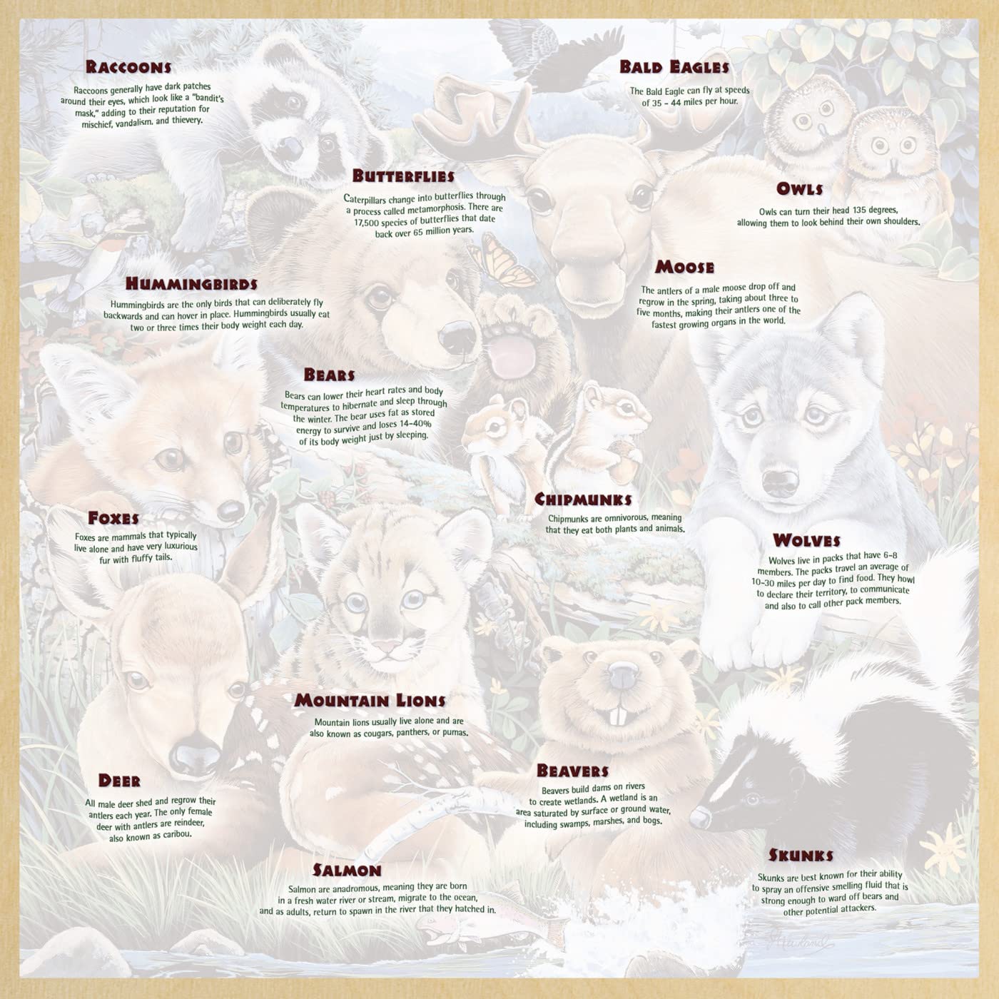 Masterpieces 48-Piece Forest Friends Jigsaw Puzzle – 12x12 Inch Kids Wood Puzzle