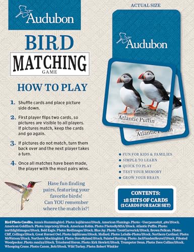 Masterpieces Audubon Picture Matching Card Game – Family Fun for All Ages
