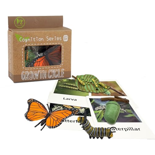 Mbrain Butterfly Life Cycle Toys - 4 Stage Growth Figures with Flash Cards for Kids Ages 3+