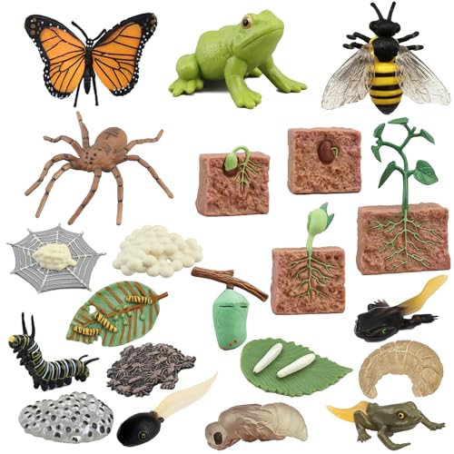 Mbrain Butterfly Life Cycle Toys - 4 Stage Growth Figures with Flash Cards for Kids Ages 3+